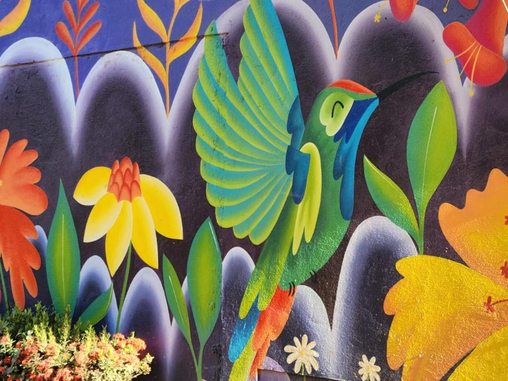 Hotel Casa Colibri Palomino Zewnętrze zdjęcie