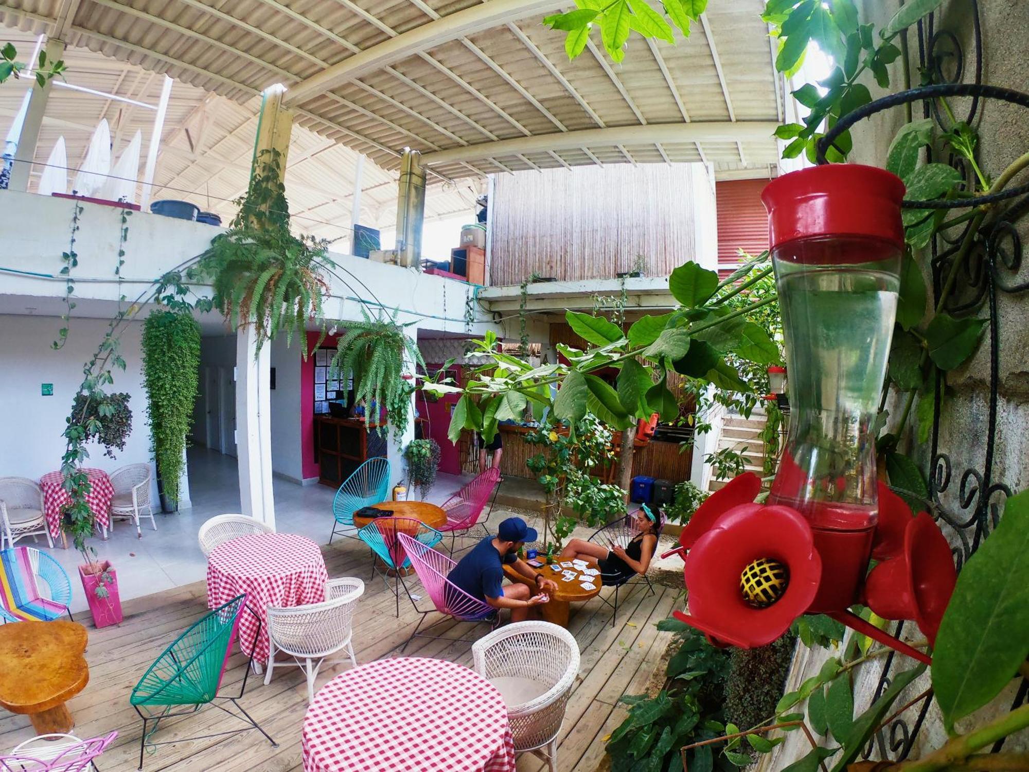 Hotel Casa Colibri Palomino Zewnętrze zdjęcie