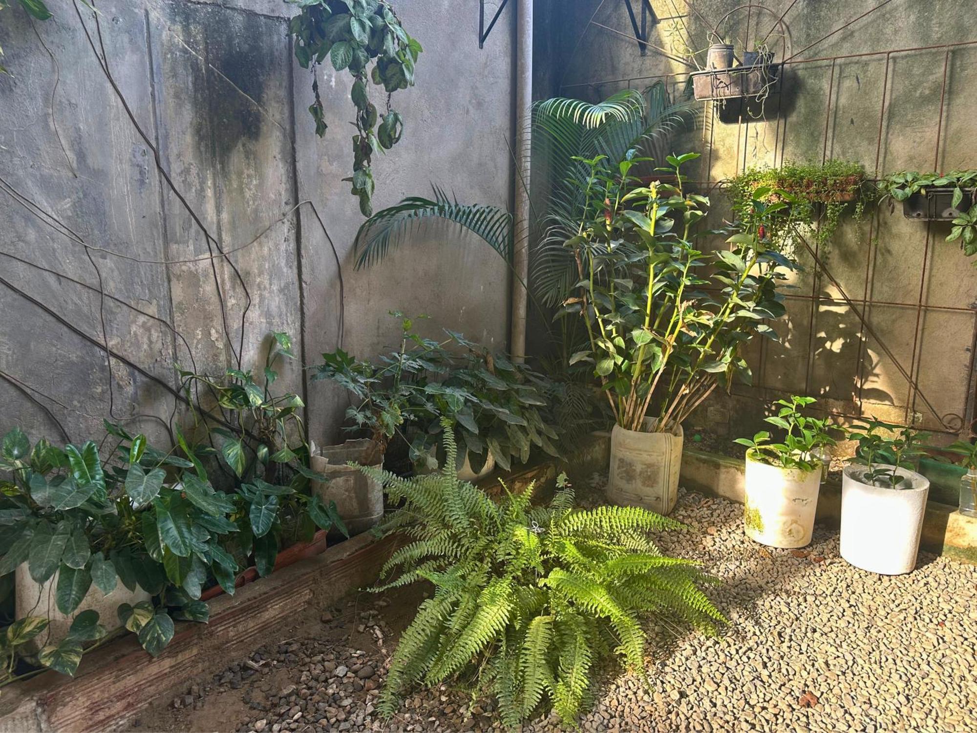 Hotel Casa Colibri Palomino Zewnętrze zdjęcie